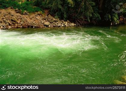 High angle view of green water in a river, Jordan River, Galilee, Israel
