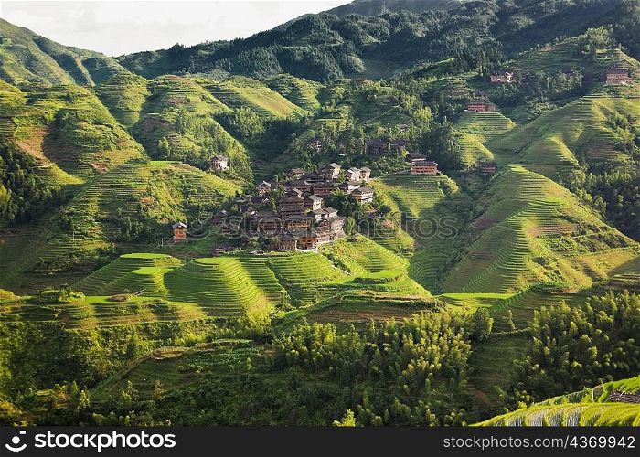 High angle view of houses in a village, Jinkeng Terraced Field, Guangxi Province, China