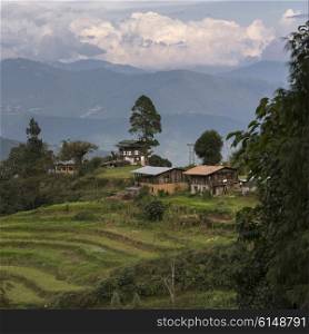 High angle view of houses on a hill, Thimphu, Bhutan