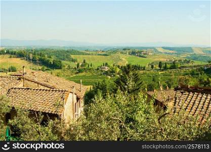 High angle view of houses with vineyard in the background, Siena Province, Tuscany, Italy