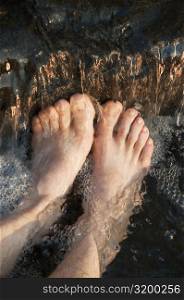 High angle view of human legs underwater