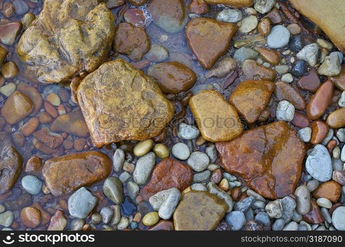 High angle view of pebbles