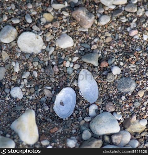High angle view of pebbles and shells, Hecla Grindstone Provincial Park, Manitoba, Canada