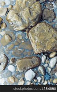 High angle view of pebbles in water