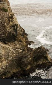 High angle view of rocks in the Pacific Ocean, California, USA