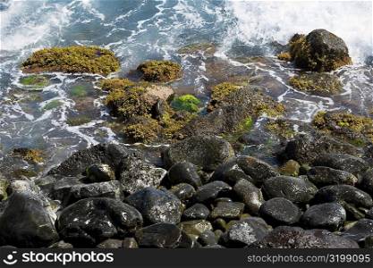 High angle view of rocks on the beach, Hookipa Beach Park, Maui, Hawaii Islands, USA