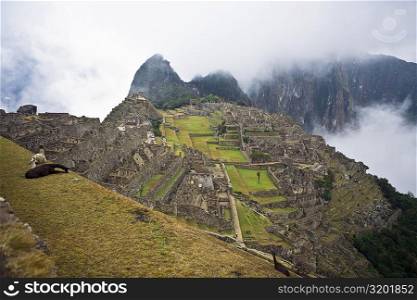 High angle view of ruins on mountains, Machu Picchu, Cusco Region, Peru