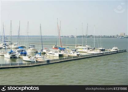 High angle view of sailboats docked at a harbor, Patriot&acute;s Point, Charleston Harbor, Charleston, South Carolina, USA