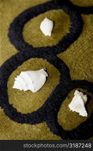 High angle view of seashells on a carpet