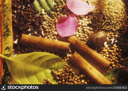 High angle view of spices and pulses