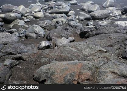 High angle view of stones, Kalapana, Big Island, Hawaii Islands, USA