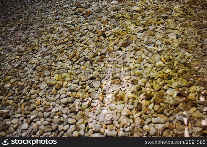 High angle view of stones underwater