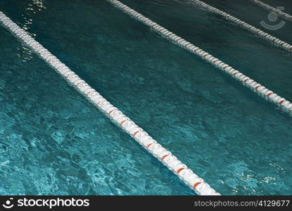 High angle view of swimming lane markers in a swimming pool