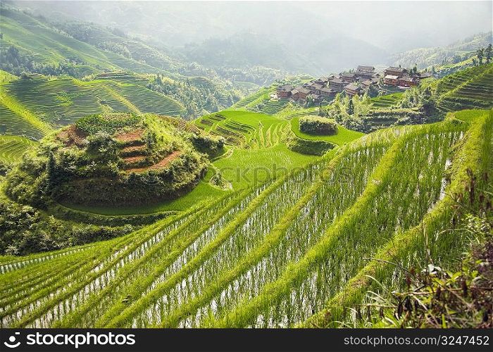 High angle view of terraced rice fields, Jinkeng Terraced Field, Guangxi Province, China