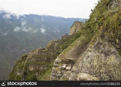 High angle view of the old ruins, Aguas Calientes, Mt Huayna Picchu, Machu Picchu, Cusco Region, Peru
