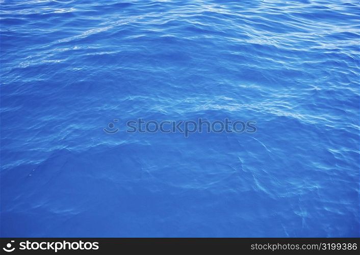 High angle view of the surface of water