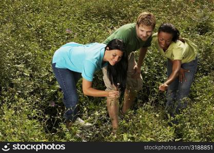 High angle view of three friends in a field