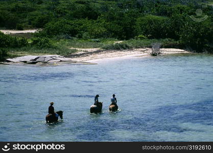 High angle view of three people crossing the sea on horsebacks, Virgin Islands