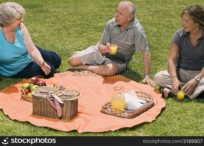 High angle view of three senior people at picnic