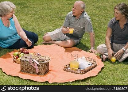 High angle view of three senior people at picnic
