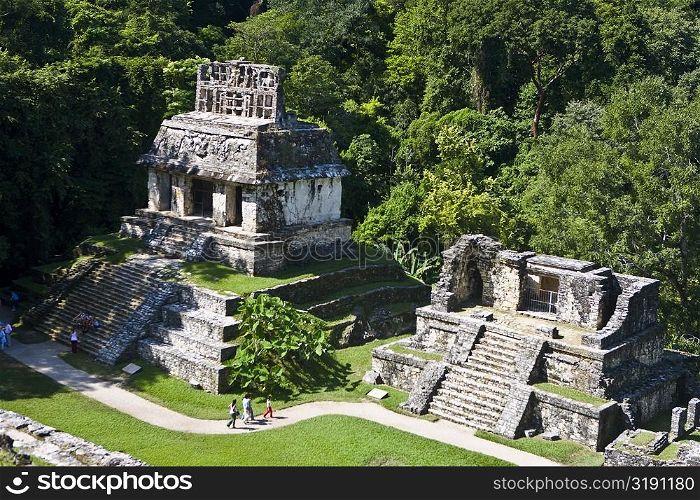 High angle view of tourists at old ruins of a temple, Templo Del Sol, Palenque, Chiapas, Mexico