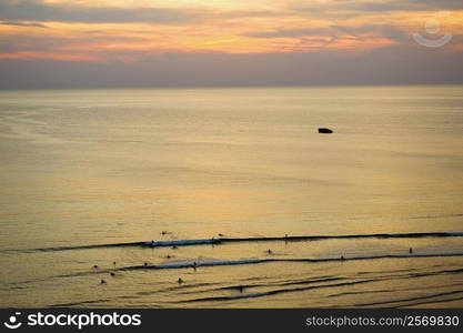 High angle view of tourists swimming in the sea, Cote des Basques, Biarritz, France