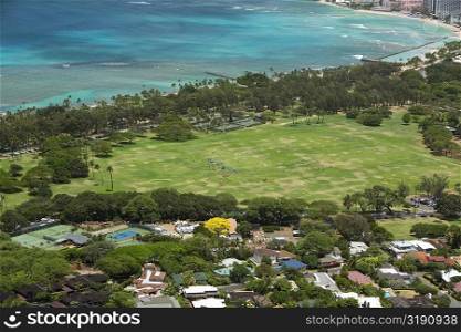 High angle view of trees along a coast, Diamond Head, Waikiki Beach, Honolulu, Oahu, Hawaii Islands, USA