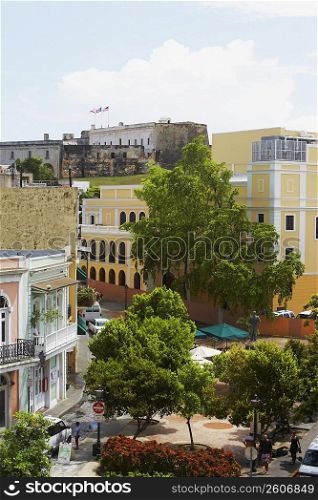 High angle view of trees in front of buildings, Old San Juan, San Juan, Puerto Rico