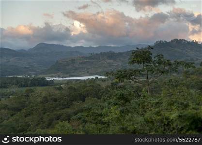 High angle view of trees in the valley, Copan, Copan Ruinas, Honduras