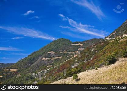 High angle view of trees on a hill, Hierve El Agua, Oaxaca State, Mexico