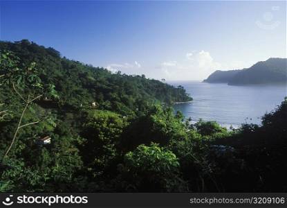 High angle view of trees on an island, Caribbean
