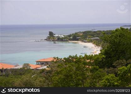 High angle view of trees on the beach, West Bay Beach, Roatan, Bay Islands, Honduras