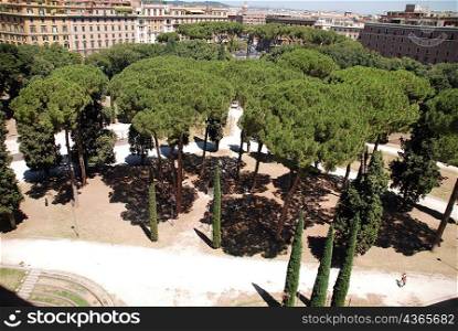 High angle view of treetops in park gardens, Rome
