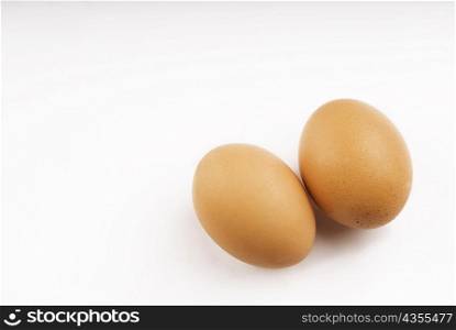 High angle view of two brown eggs