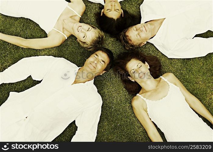 High angle view of two mature men and three mature women lying on the grass