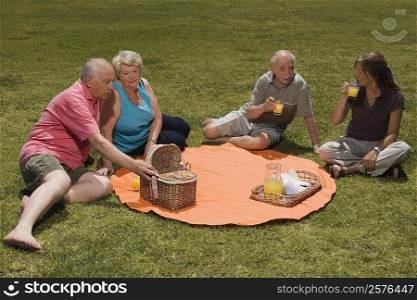High angle view of two senior couples at a picnic