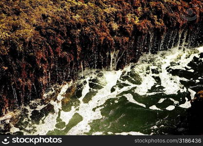 High angle view of water flowing over a rock formation, La Jolla Reefs, San Diego Bay, California, USA