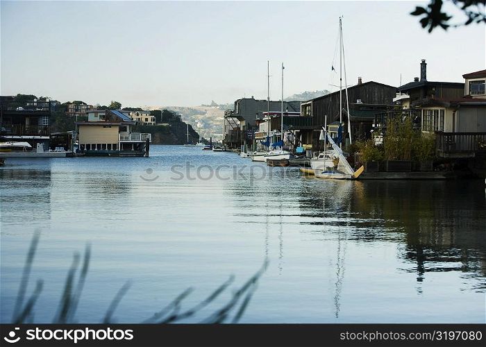 High angle view of yachts in water, Sausalito, California, USA