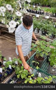 High angle view of young man shopping for potted plants