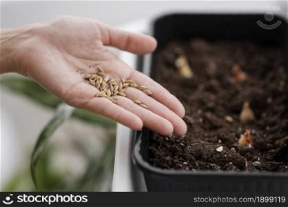 high angle woman holding seeds planting with pot. Resolution and high quality beautiful photo. high angle woman holding seeds planting with pot. High quality beautiful photo concept
