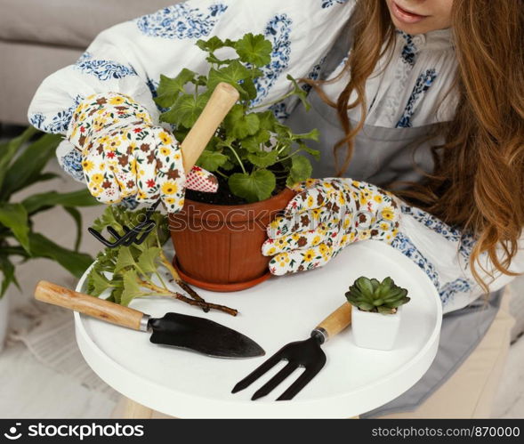 high angle woman planting home