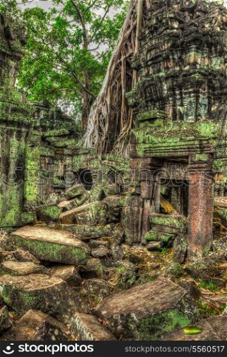 High dynamic range (hdr) image of ancient ruins with trees, Ta Prohm temple, Angkor, Cambodia