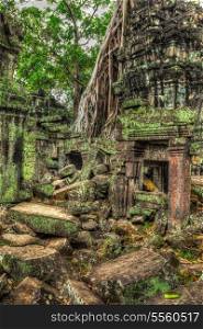 High dynamic range (hdr) image of ancient ruins with trees, Ta Prohm temple, Angkor, Cambodia