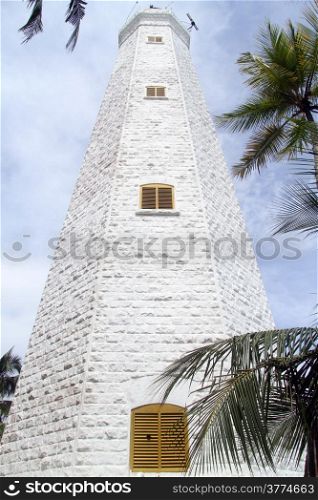High lighthouse and palm trees in Dondra, Sri Lanka