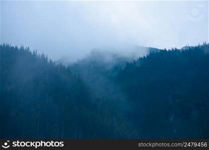 High mountain forest with low clouds and fog between the trees and peaks at dusk time