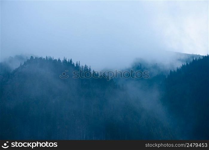 High mountain forest with low clouds and fog between the trees and peaks at dusk