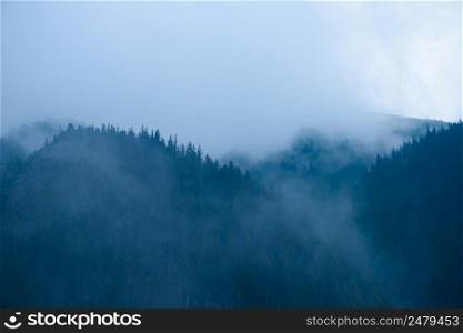 High mountain forest with low clouds and fog between the trees and peaks at dusk