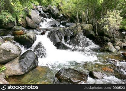 High mountain river flowing through the forest