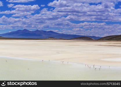 High mountains in Bolivia