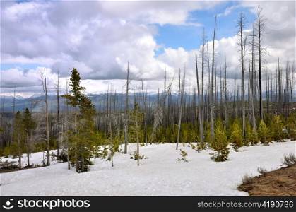 high mountains landscape with snow in summer time